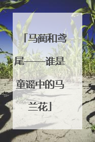 马蔺和鸢尾——谁是童谣中的马兰花