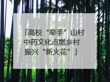 高校“牵手”山村 中药文化点燃乡村振兴“新火花”