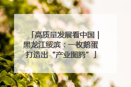 高质量发展看中国｜黑龙江绥滨：一枚鹅蛋打造出“产业图腾”