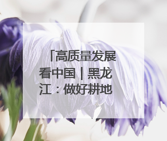 高质量发展看中国｜黑龙江：做好耕地“土”文章