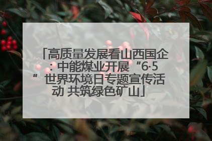 高质量发展看山西国企：中能煤业开展“6·5”世界环境日专题宣传活动 共筑绿色矿山