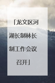 龙文区河湖长制林长制工作会议召开