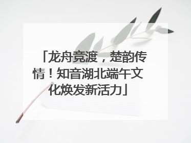 龙舟竞渡，楚韵传情！知音湖北端午文化焕发新活力