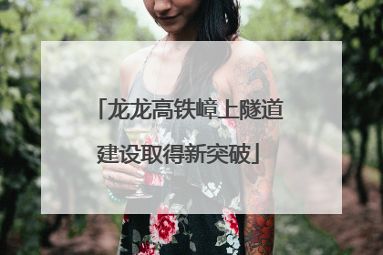 龙龙高铁嶂上隧道建设取得新突破