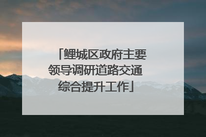 鲤城区政府主要领导调研道路交通综合提升工作