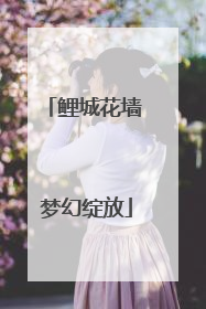 鲤城花墙 梦幻绽放