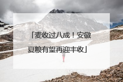 麦收过八成！安徽夏粮有望再迎丰收
