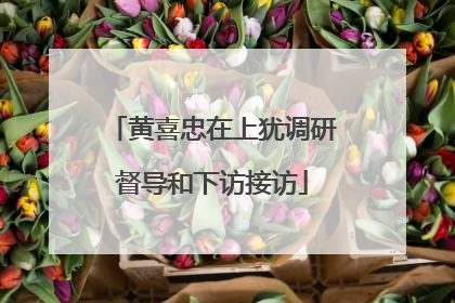 黄喜忠在上犹调研督导和下访接访