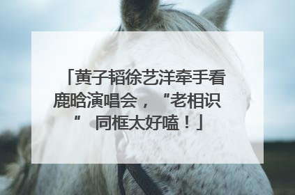 黄子韬徐艺洋牵手看鹿晗演唱会，“老相识” 同框太好嗑！