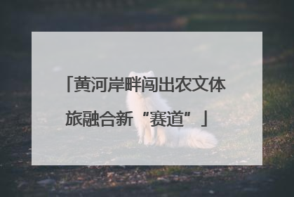 黄河岸畔闯出农文体旅融合新“赛道”