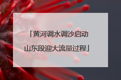 黄河调水调沙启动 山东段迎大流量过程