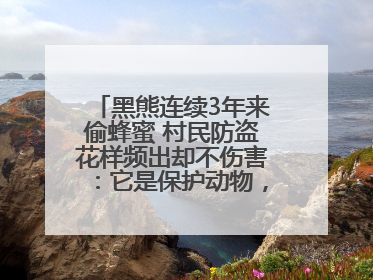 黑熊连续3年来偷蜂蜜 村民防盗花样频出却不伤害：它是保护动物，我有保险兜底