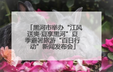 黑河市举办“江风送爽·夏享黑河”夏季避暑旅游“百日行动”新闻发布会