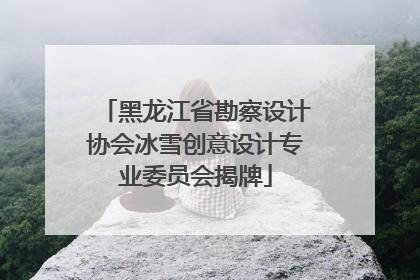 黑龙江省勘察设计协会冰雪创意设计专业委员会揭牌