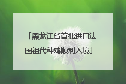 黑龙江省首批进口法国祖代种鸡顺利入境