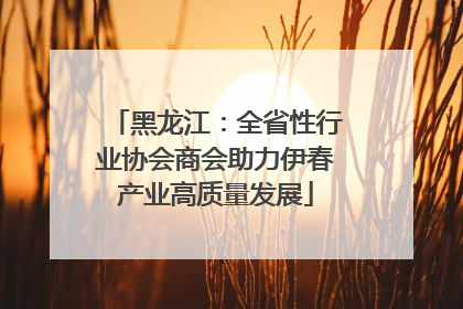 黑龙江：全省性行业协会商会助力伊春产业高质量发展