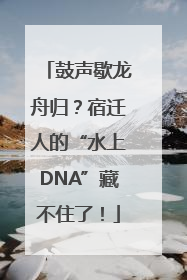 鼓声歇龙舟归？宿迁人的“水上DNA”藏不住了！