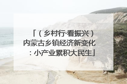 （乡村行·看振兴）内蒙古乡镇经济新变化：小产业累积大民生