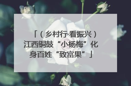 （乡村行·看振兴）江西铜鼓“小杨梅”化身百姓“致富果”