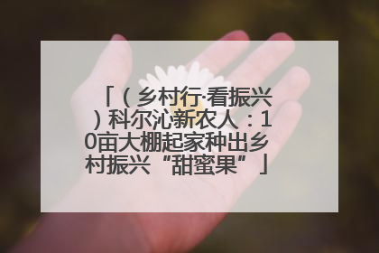 （乡村行·看振兴）科尔沁新农人：10亩大棚起家种出乡村振兴“甜蜜果”