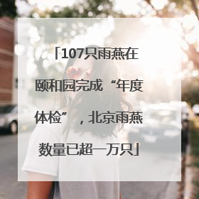 107只雨燕在颐和园完成“年度体检”，北京雨燕数量已超一万只