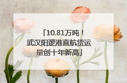10.81万吨！武汉阳逻港直航货运量创十年新高