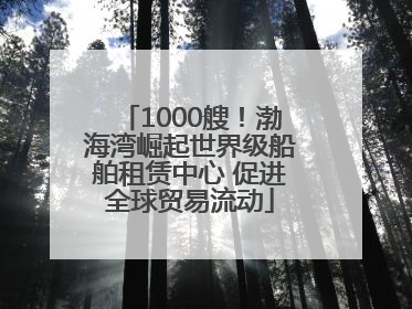1000艘！渤海湾崛起世界级船舶租赁中心 促进全球贸易流动