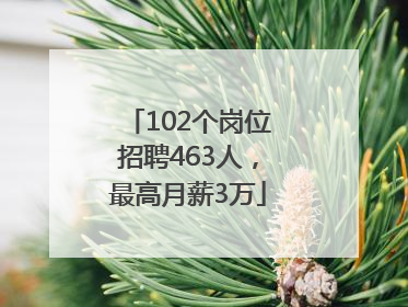 102个岗位招聘463人，最高月薪3万