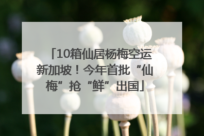 10箱仙居杨梅空运新加坡！今年首批“仙梅”抢“鲜”出国