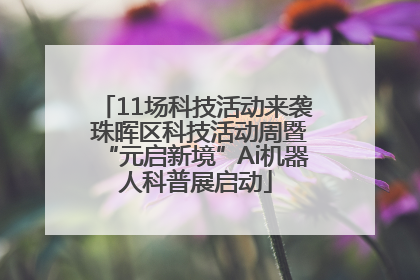 11场科技活动来袭 珠晖区科技活动周暨“元启新境”Ai机器人科普展启动