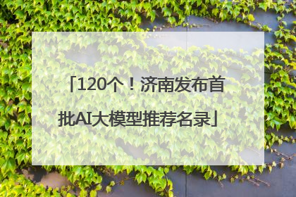 120个！济南发布首批AI大模型推荐名录