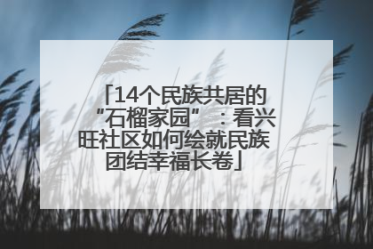 14个民族共居的“石榴家园”：看兴旺社区如何绘就民族团结幸福长卷