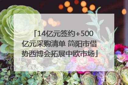 14亿元签约+500亿元采购清单 简阳市借势西博会拓展中欧市场