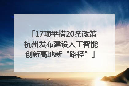 17项举措20条政策 杭州发布建设人工智能创新高地新“路径”