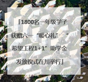 1800名一年级学子获赠六一“暖心礼” “希望工程1+1”助学金发放仪式在川举行