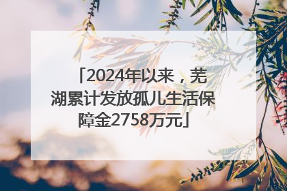 2024年以来，芜湖累计发放孤儿生活保障金2758万元