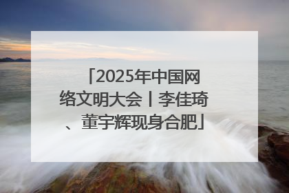 2025年中国网络文明大会丨李佳琦、董宇辉现身合肥