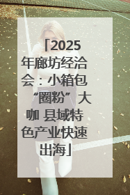 2025年廊坊经洽会：小箱包“圈粉”大咖 县域特色产业快速出海