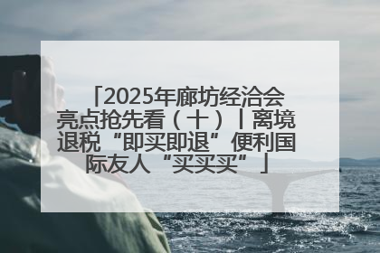 2025年廊坊经洽会亮点抢先看（十）丨离境退税“即买即退”便利国际友人“买买买”
