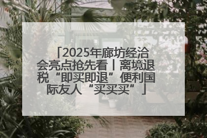 2025年廊坊经洽会亮点抢先看丨离境退税“即买即退”便利国际友人“买买买”