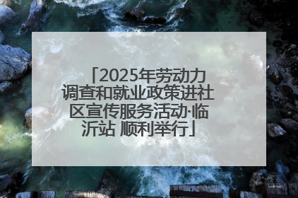 2025年劳动力调查和就业政策进社区宣传服务活动·临沂站 顺利举行