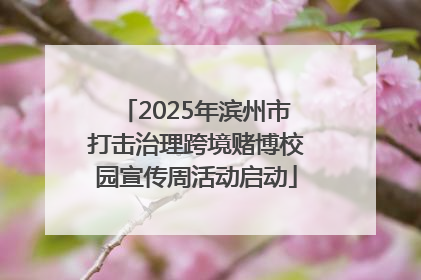 2025年滨州市打击治理跨境赌博校园宣传周活动启动