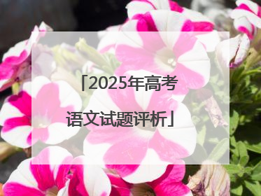 2025年高考语文试题评析
