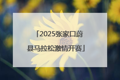 2025张家口蔚县马拉松激情开赛