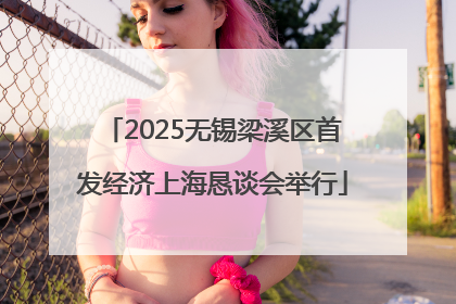 2025无锡梁溪区首发经济上海恳谈会举行