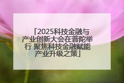 2025科技金融与产业创新大会在普陀举行 聚焦科技金融赋能产业升级之策