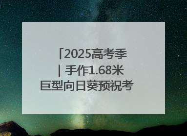 2025高考季｜手作1.68米巨型向日葵预祝考生“一举夺魁”