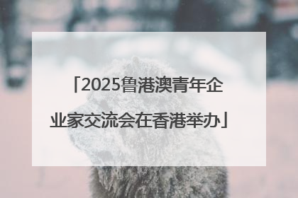 2025鲁港澳青年企业家交流会在香港举办