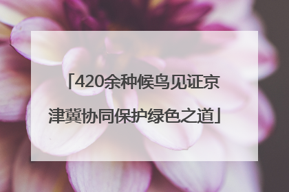 420余种候鸟见证京津冀协同保护绿色之道