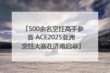 500余名烹饪高手参赛 ACE2025亚洲烹饪大赛在济南启幕